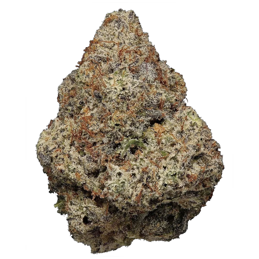 SUPER SAIYAN RUNTZ FOTO (1 unidade)