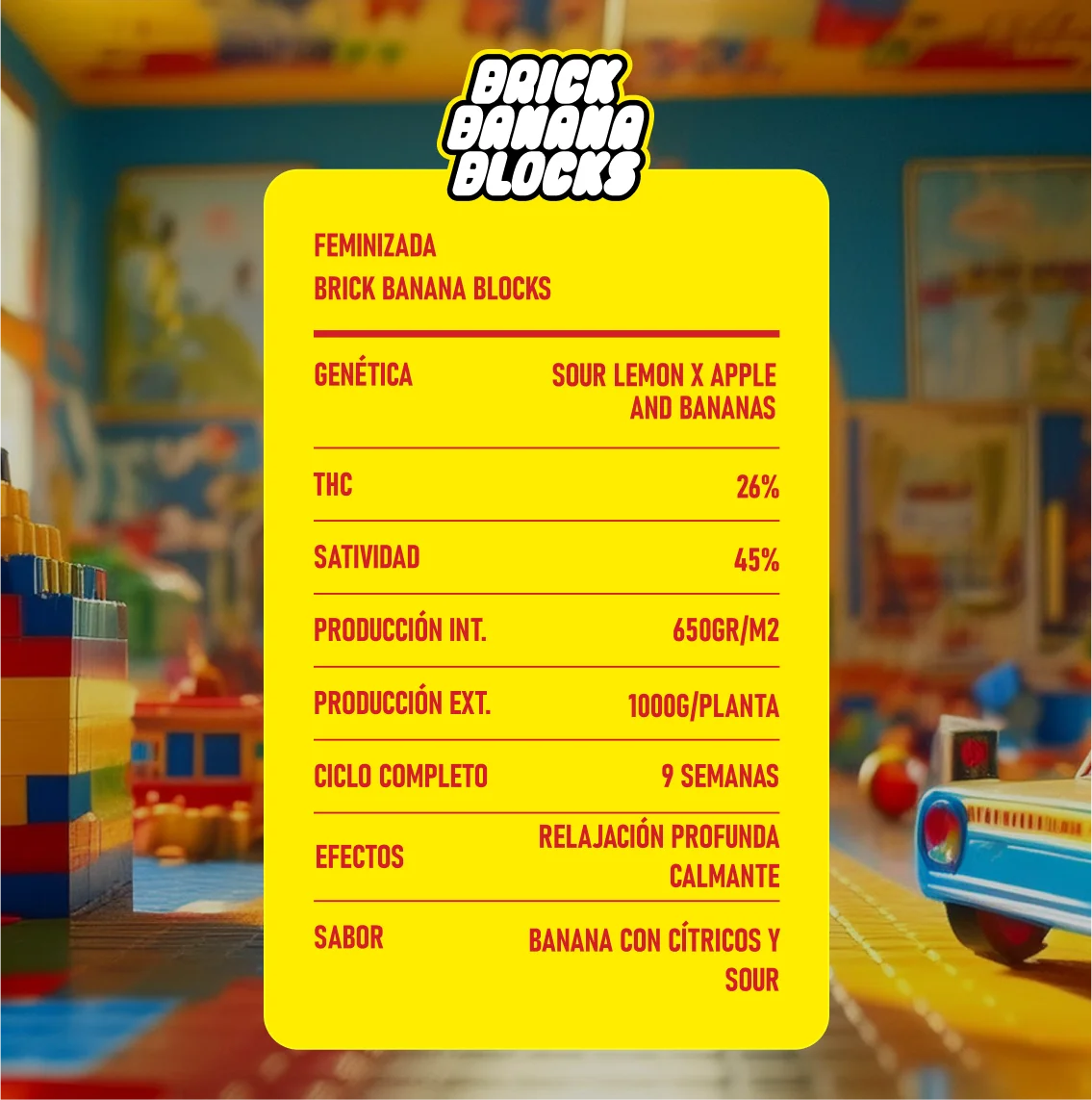 BRICK BANANA BLOCKS FOTO (1 unidade)