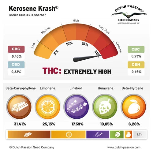 Kerosene Krash®